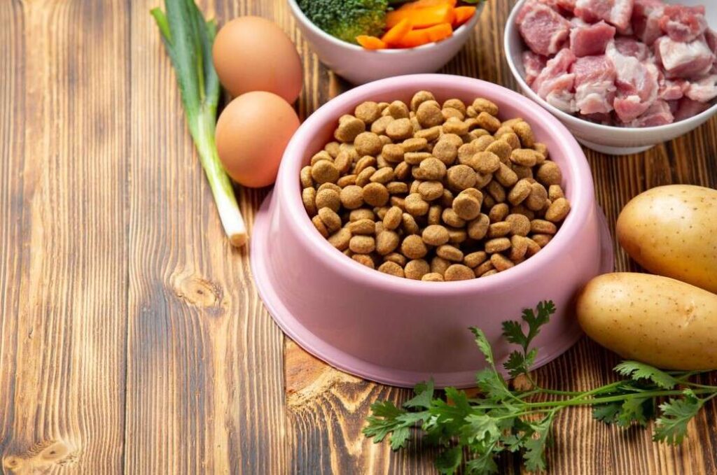 Raw Dog Food Diet Recipes