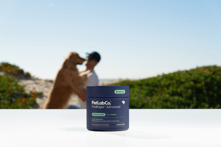 How PetLabCo.’s ProBright® Advanced Supports Oral Health Without the Brush
